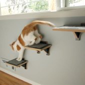 Cat Steps For Wall