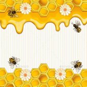 Honey Bee Wallpaper Border