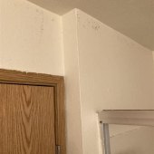 How Can You Tell If There Is Mold Behind The Walls